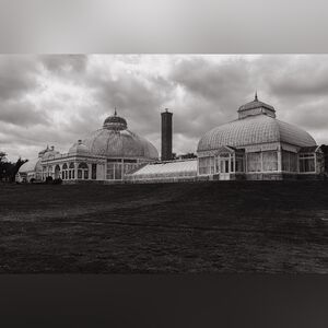 Timeless Tranquility: Black and White Botanical Gardens Photograph